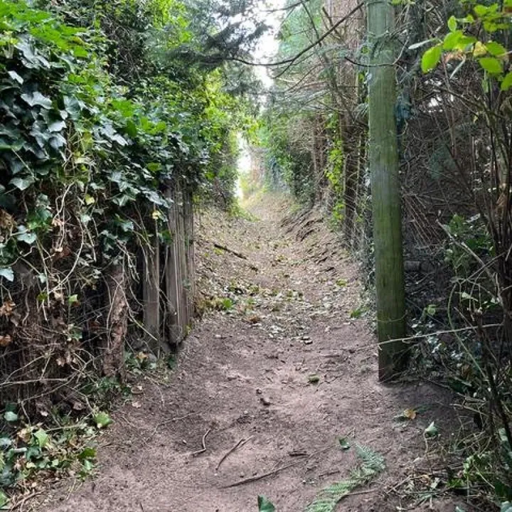 Whitchurch Road 5