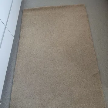Rug/ Carpet &ndash; Items free to a good home!