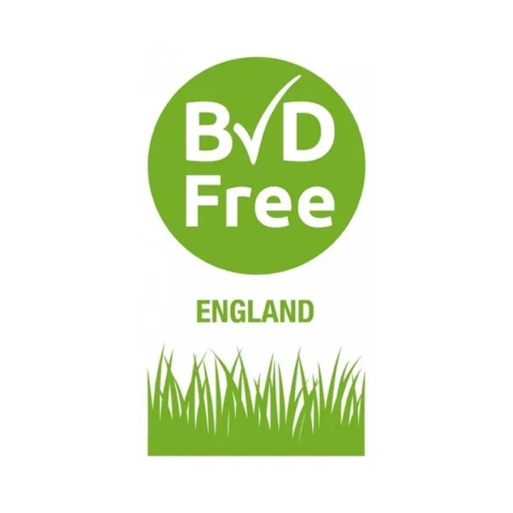 Bvdfree