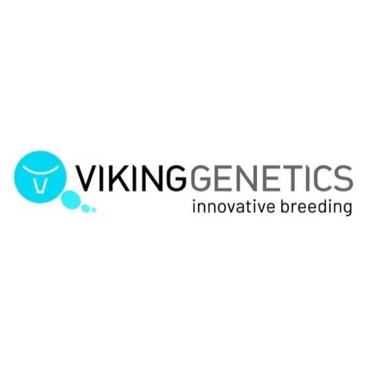Vikinggenetics