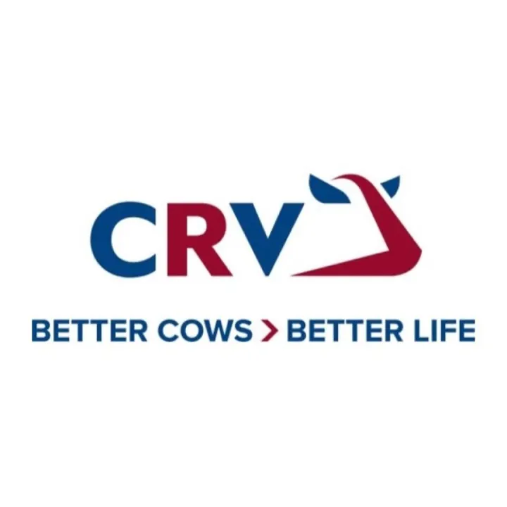 Crv