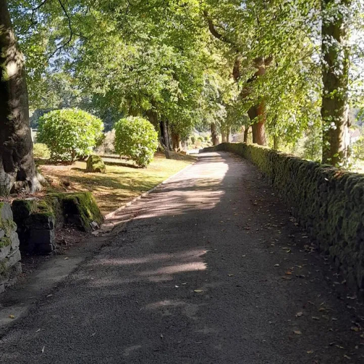 The tree lined drive leading up to Mellor Knowl Farm