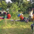 Community Orchard Picnic