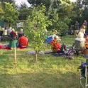 Community Orchard Picnic