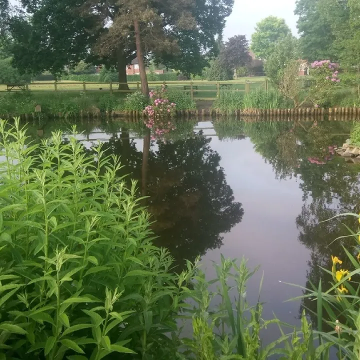 Image001
