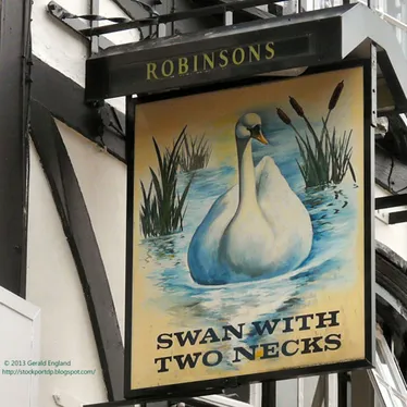 Swanwithtwo Necks