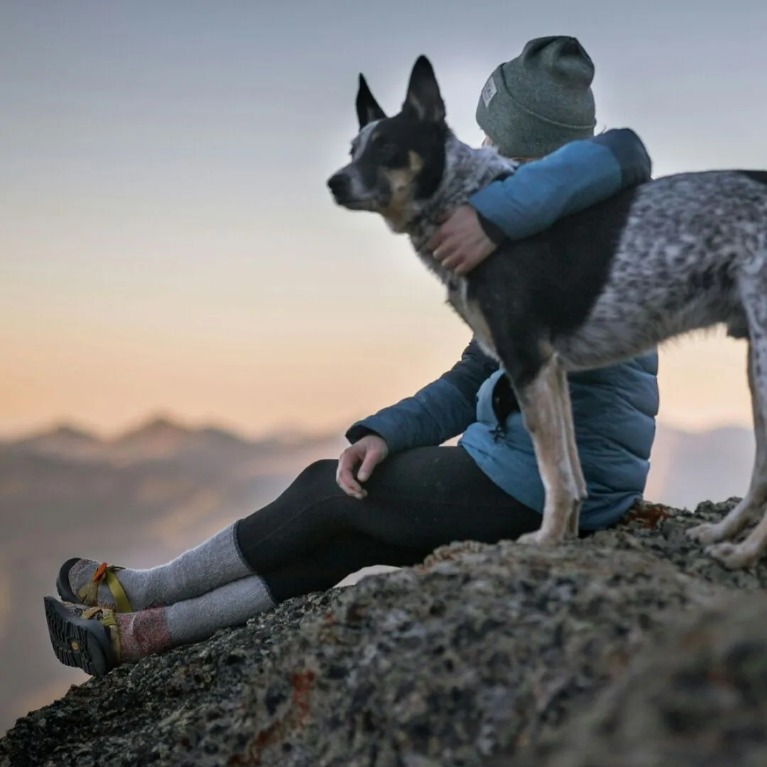 Owner and dog sitting together on a mountain top at sunset