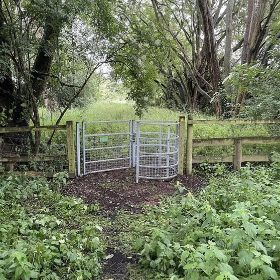Metal kissing gate in a wooden fence on a woodland footpath, with nettles and long grass in front
