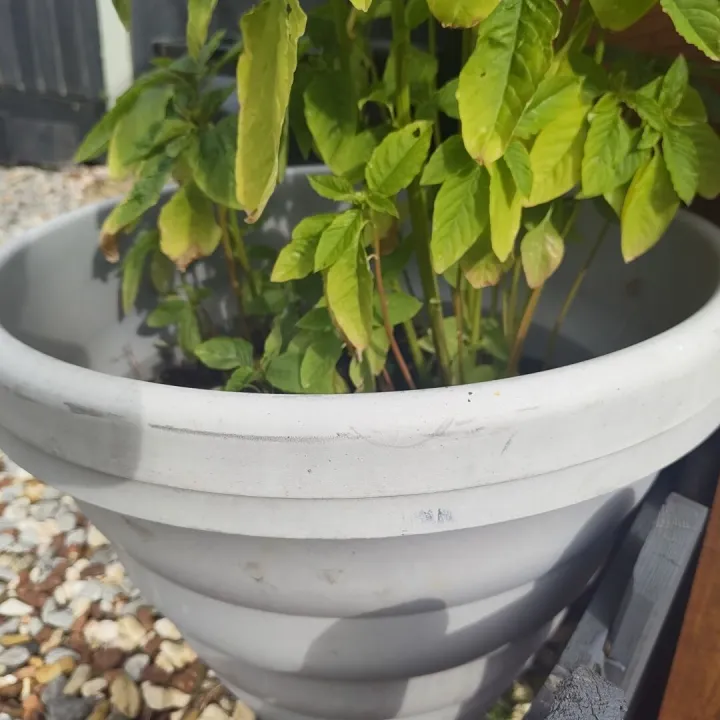 Free Pots and Card board boxes &ndash; Items free to a good home!