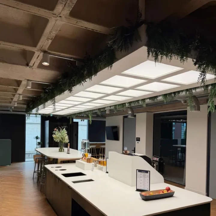 Office kitchen island under a lightbox ceiling with hanging plants and exposed concrete coffers
