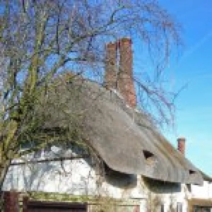Cottage 05