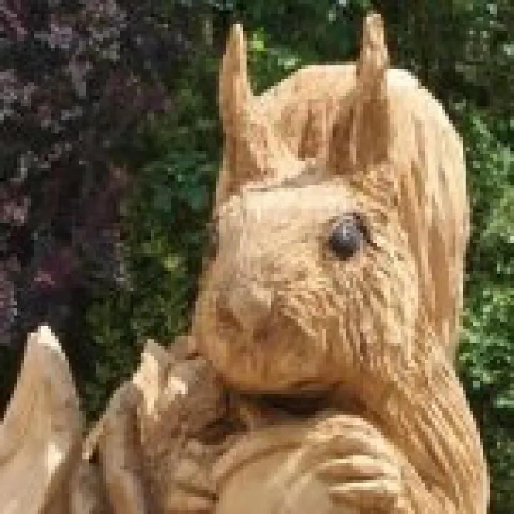squirrel 1 (2)