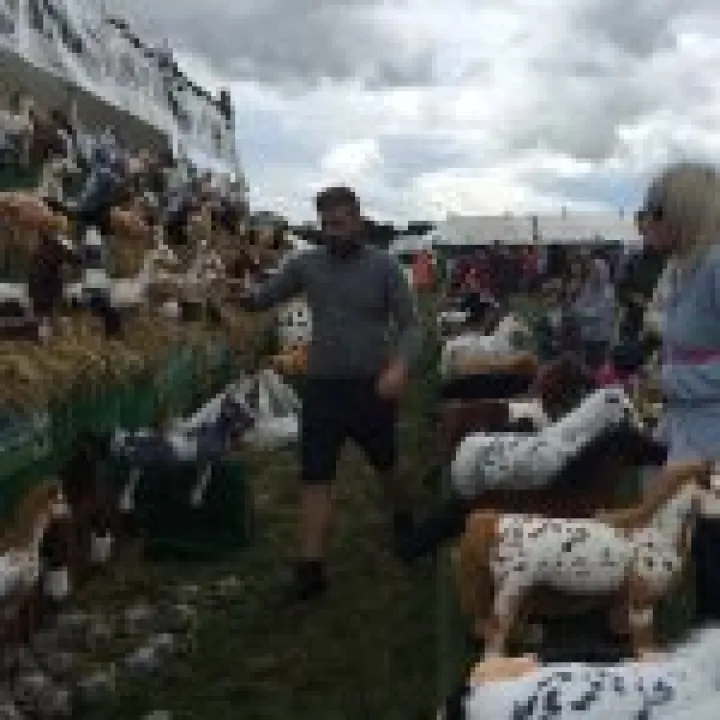 Nantwich Show 2015