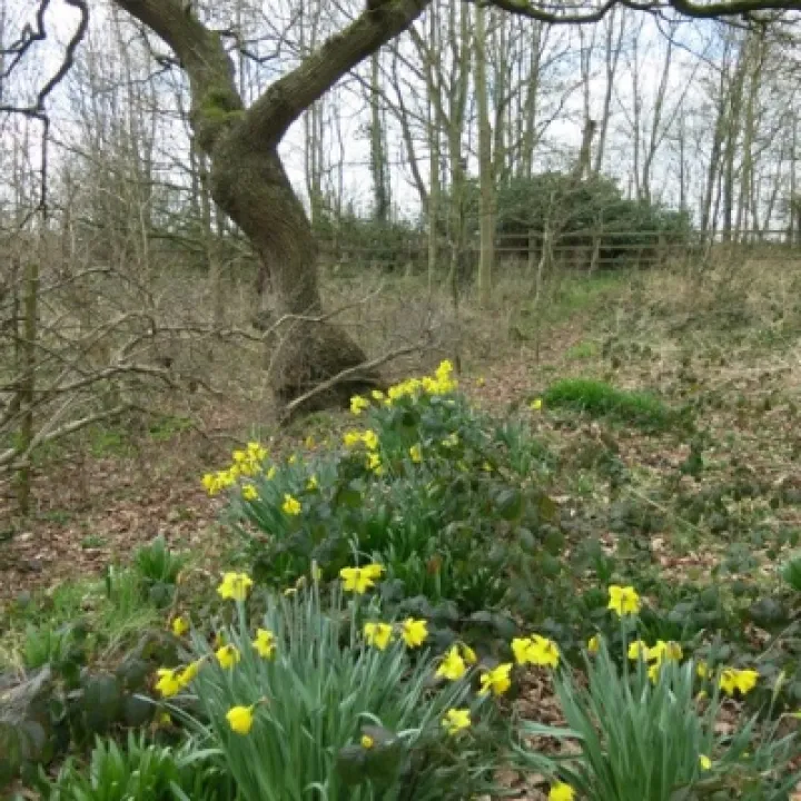 Spring 3