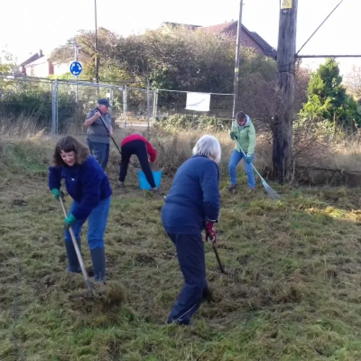 Gardening (2)