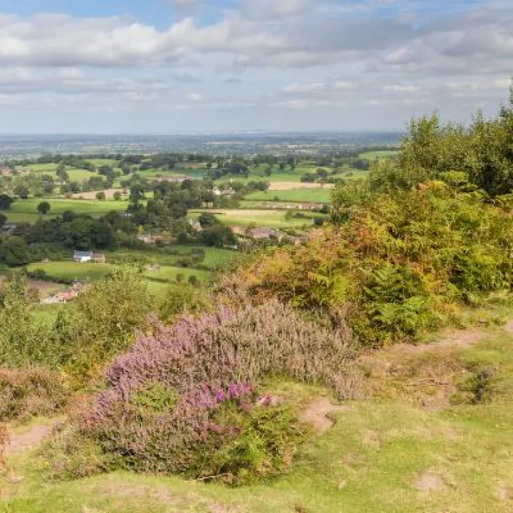 Maiden Castle in August 19