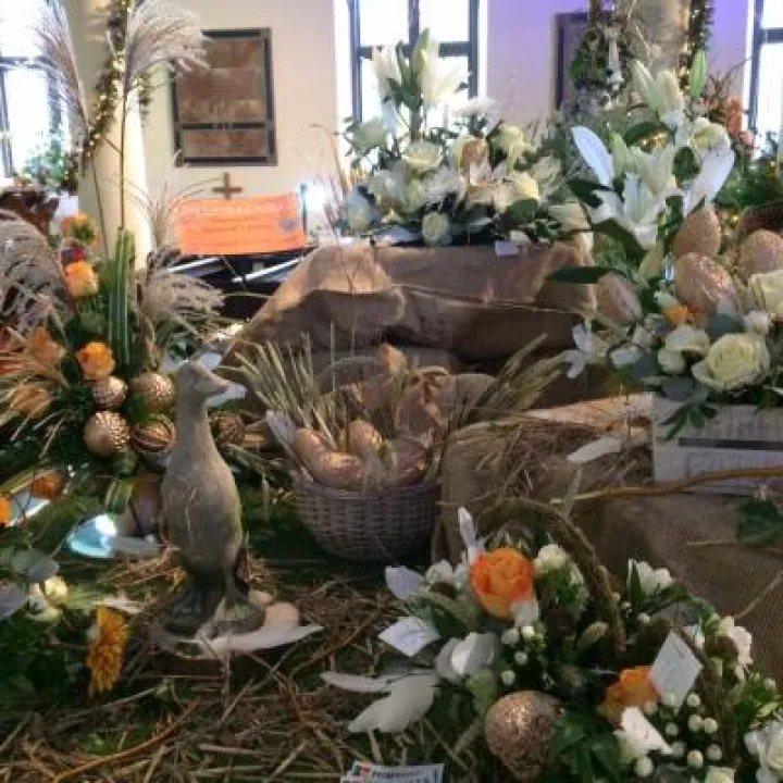 flower show4