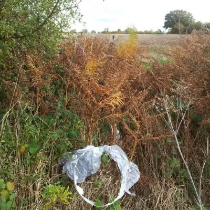 Sky Lantern Litter