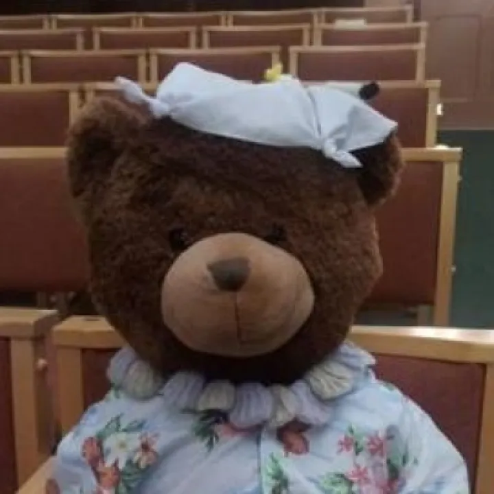 Hope St Bear