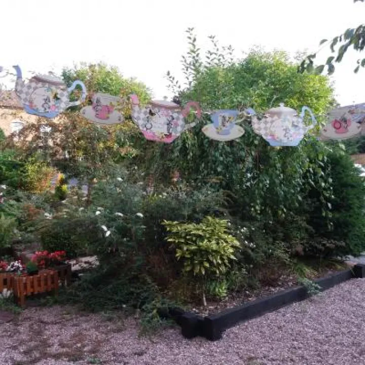 Bunting 2