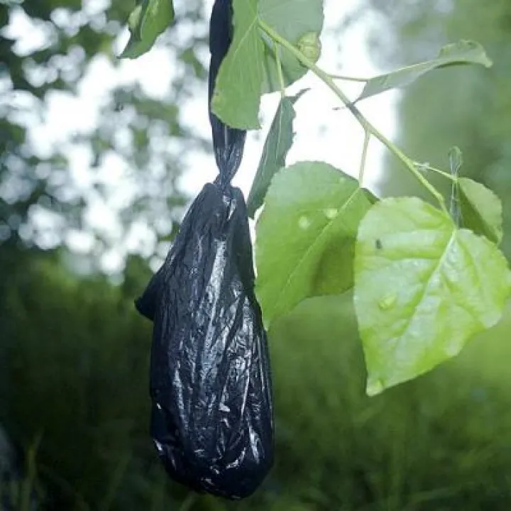 black-bag-hanging-M239991