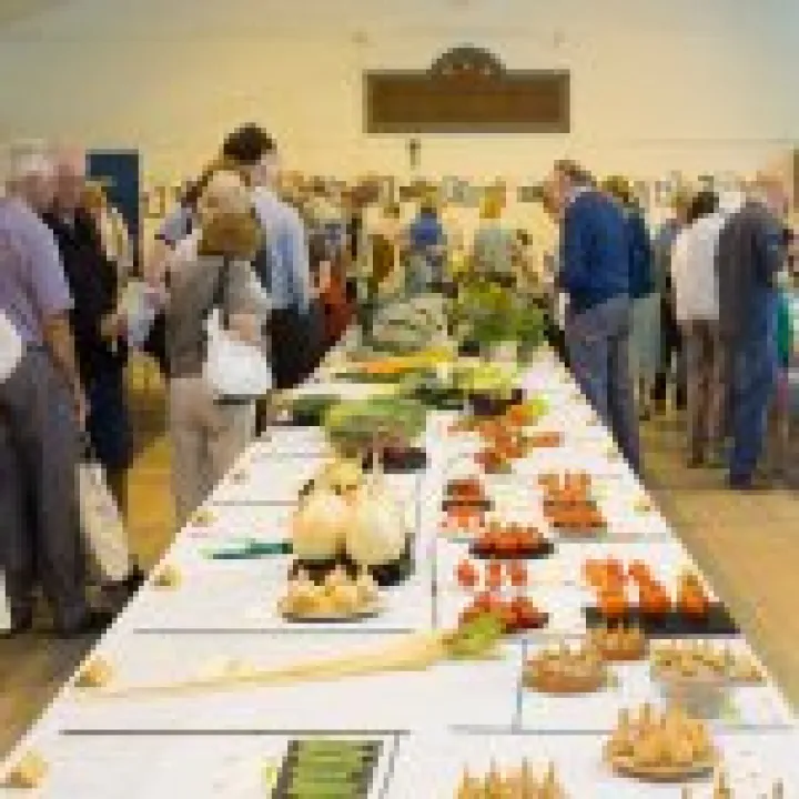 Haddenham's Annual Show 16