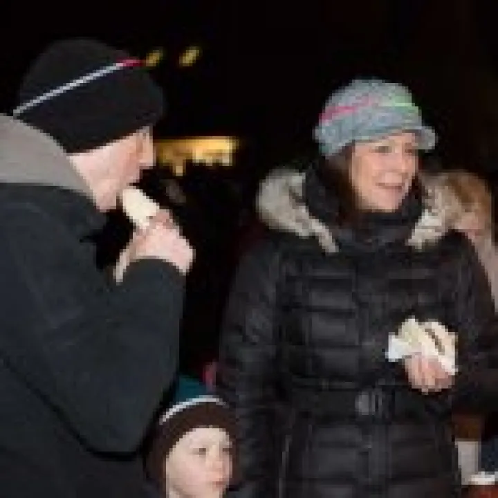 Firework Night 17