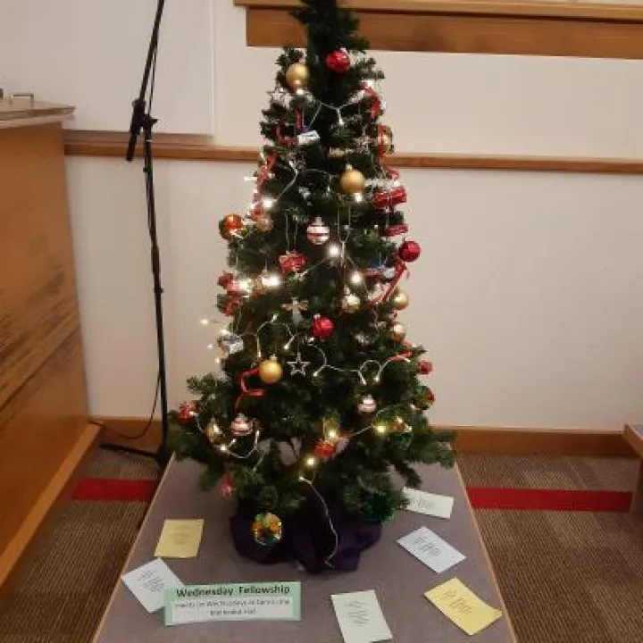 Christmas Tree 1