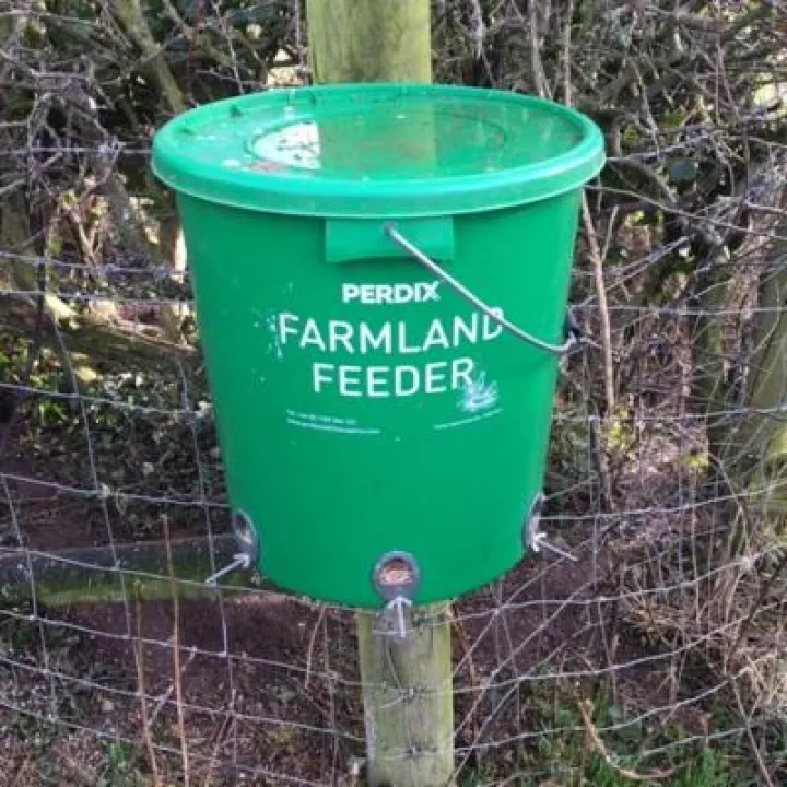Farm Walk 3