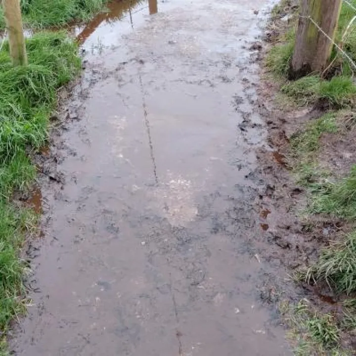 HenWhiFootpath-2
