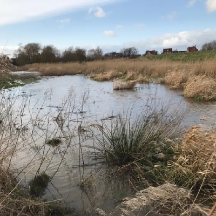 Flooding 1