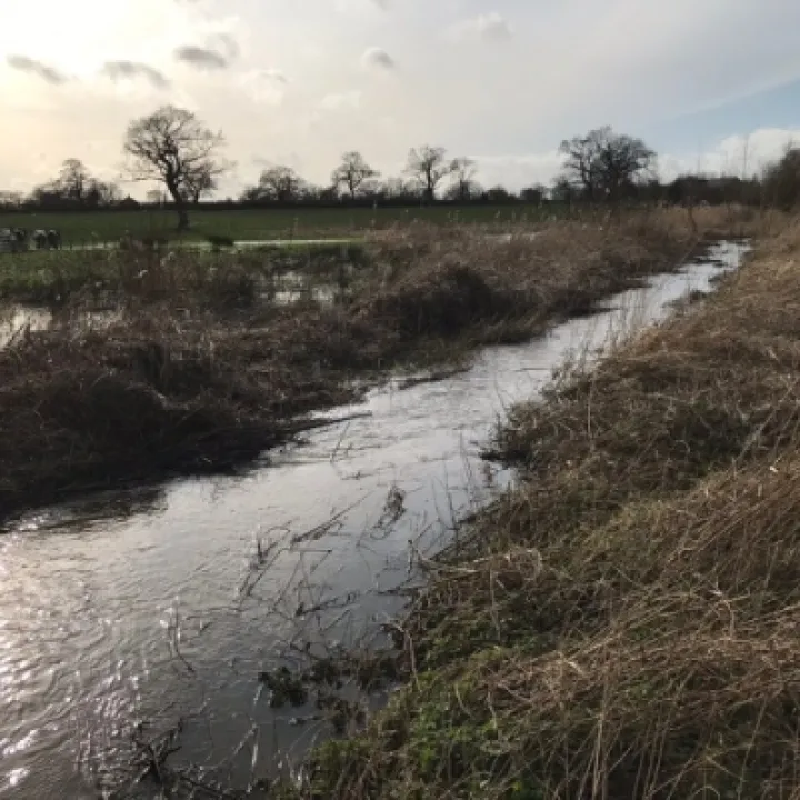 Flooding 2
