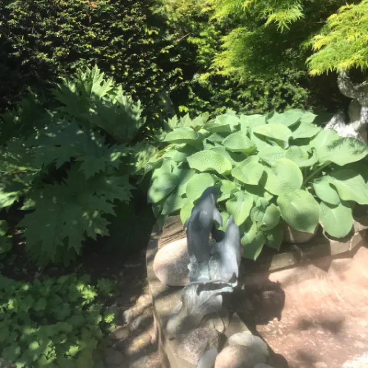 Open Gardens