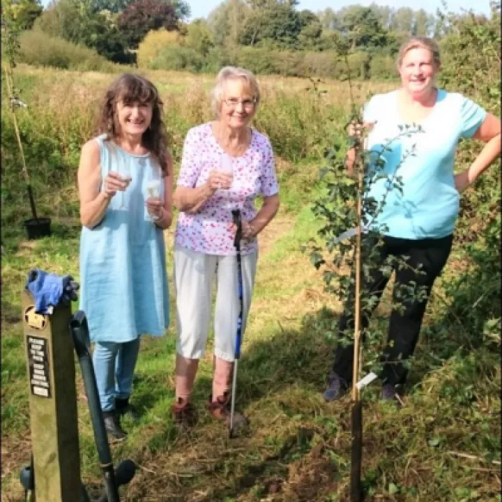 Celebrate the planting of the first tree &ndash; Sept 2020