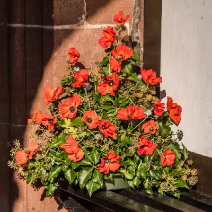 flowers