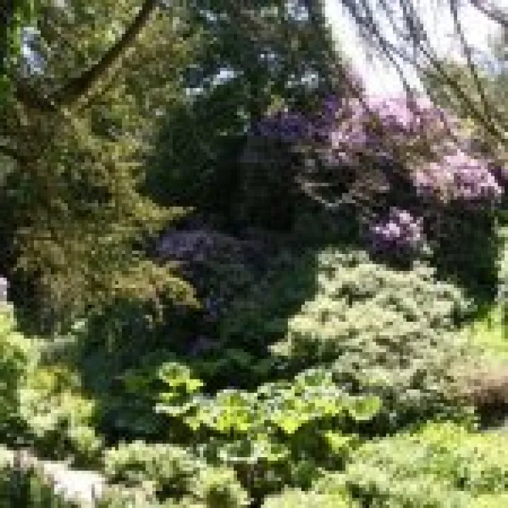 Lyme Park 001
