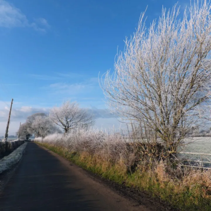 Frosty Audlem 2