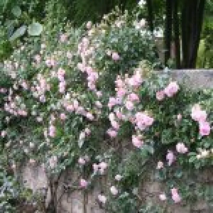 20080617 0016
