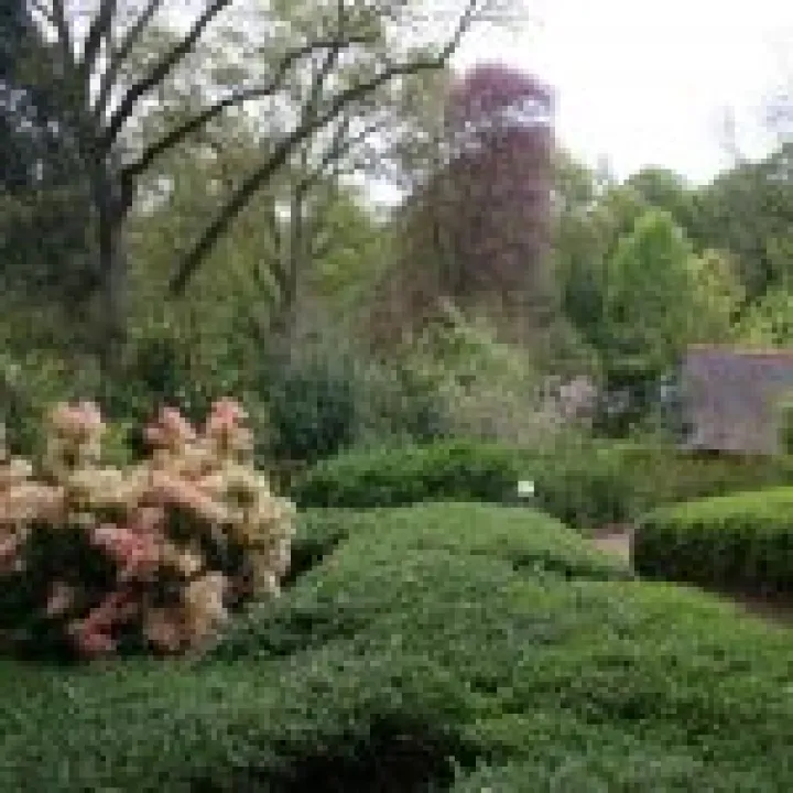 20060509 0021