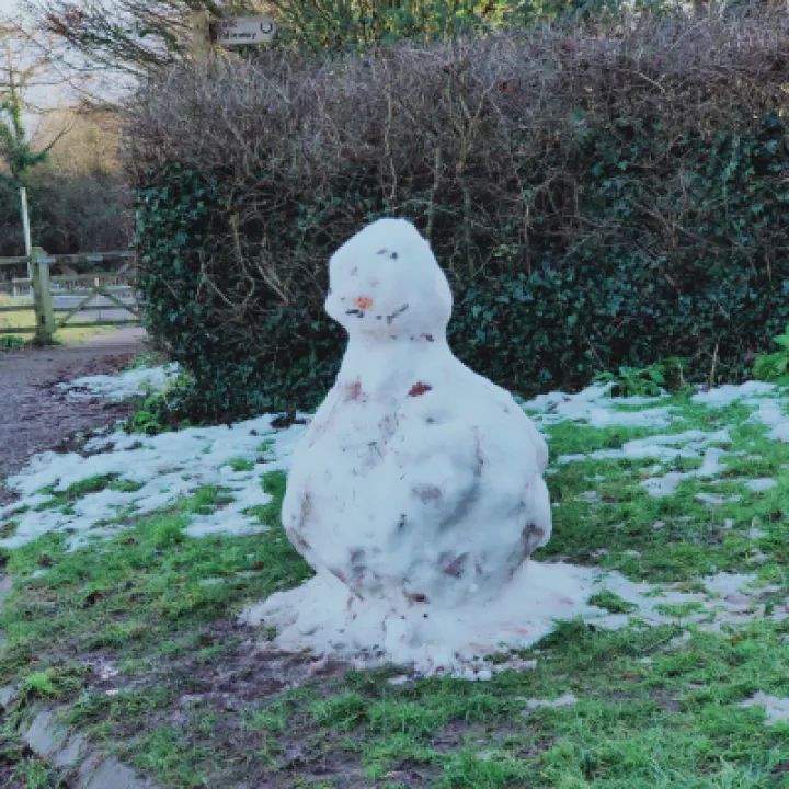 TOL  Snowman 21st Jan IMG20210121154034[290043]