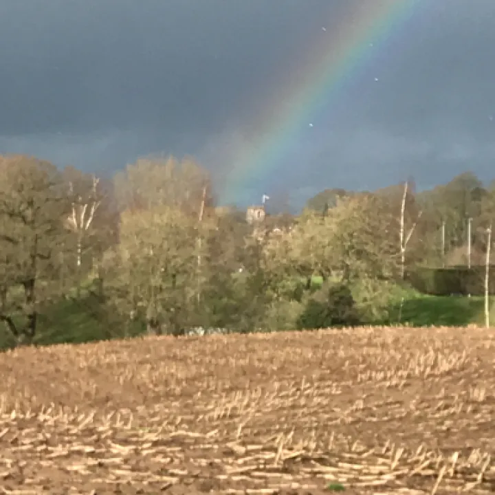 Rainbow