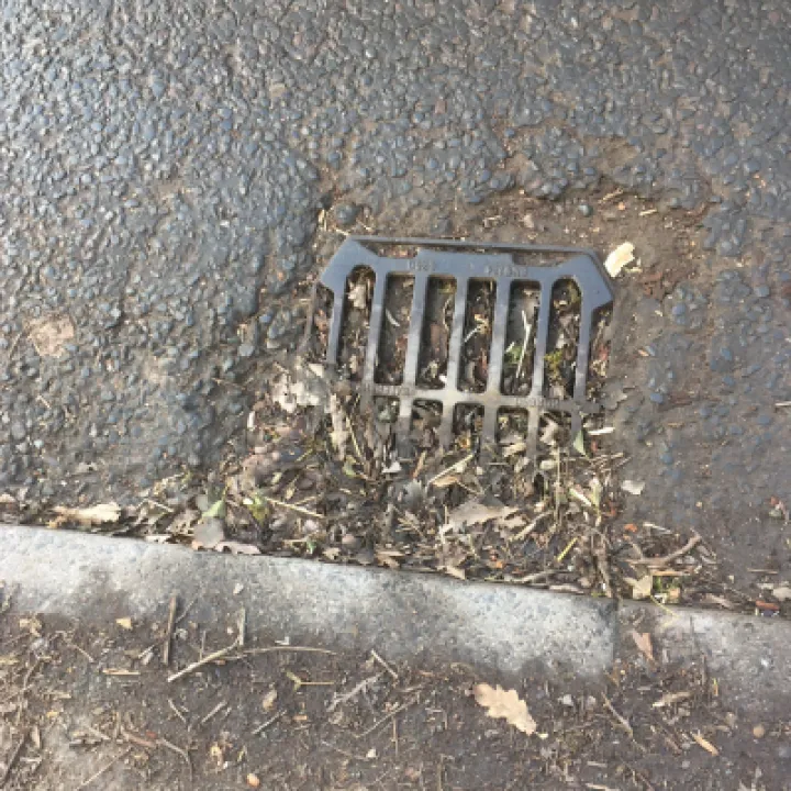 Blocked Gulleys