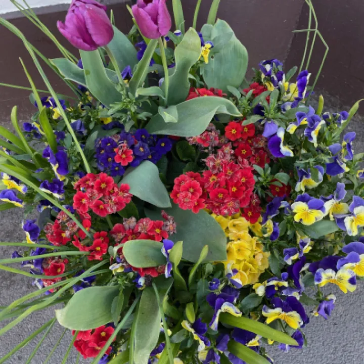 Village Flowers