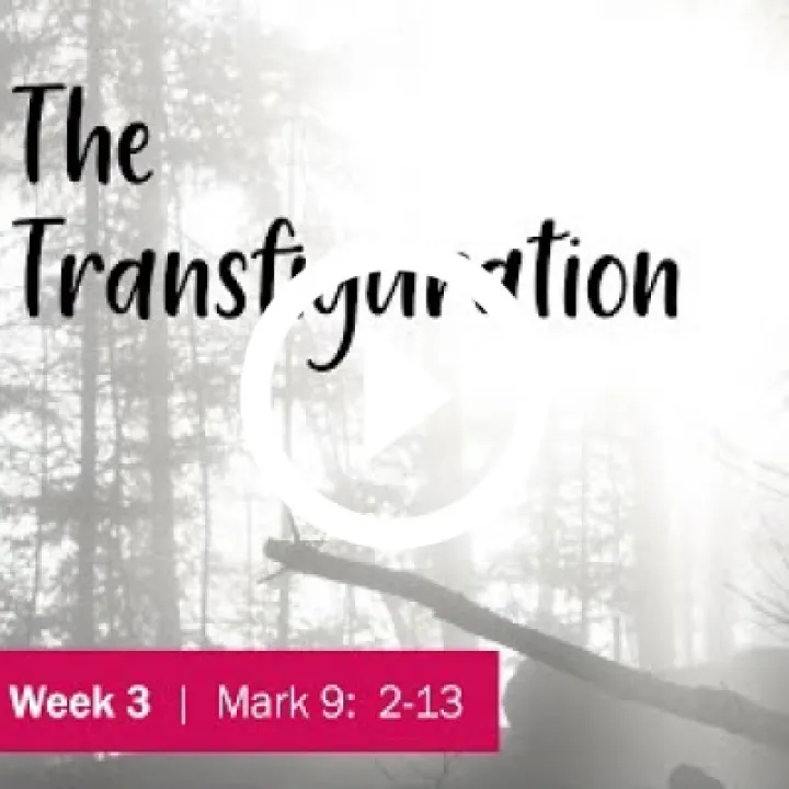 The Transfig
