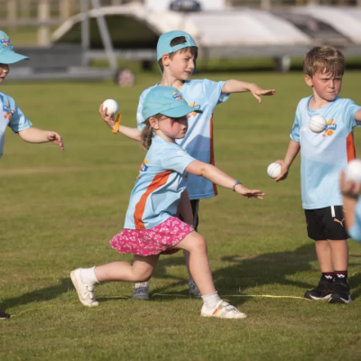 Image: 190721 Cricket Spare 9