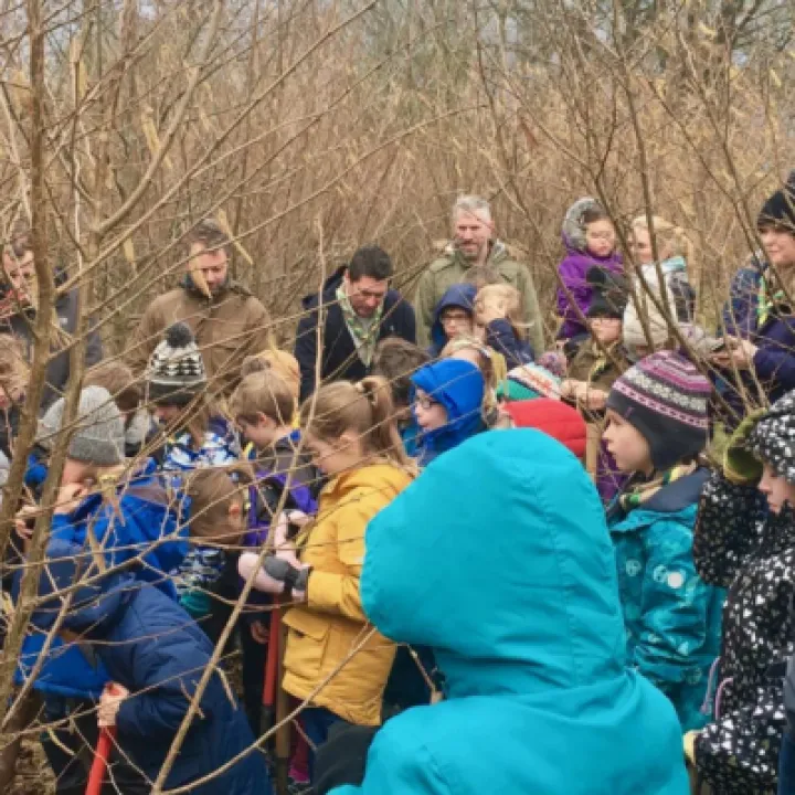 tree planting