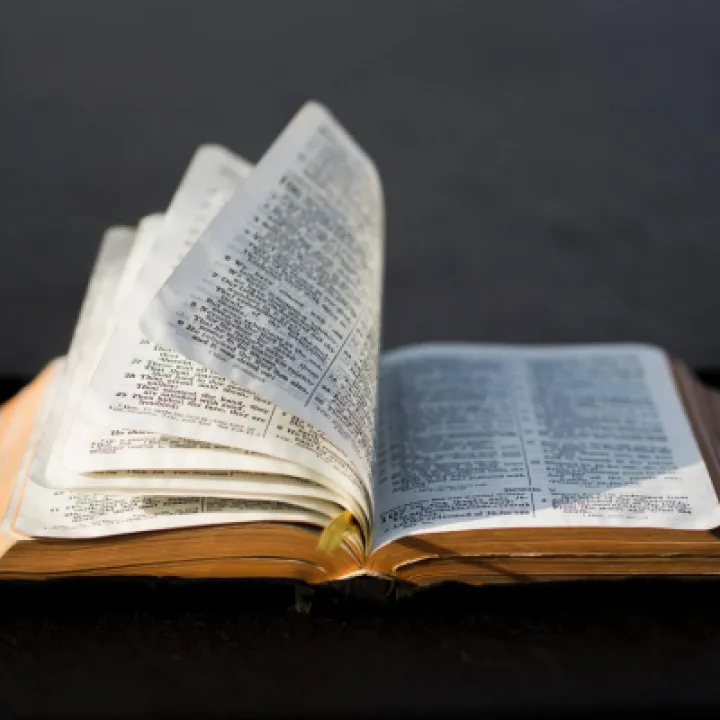bible