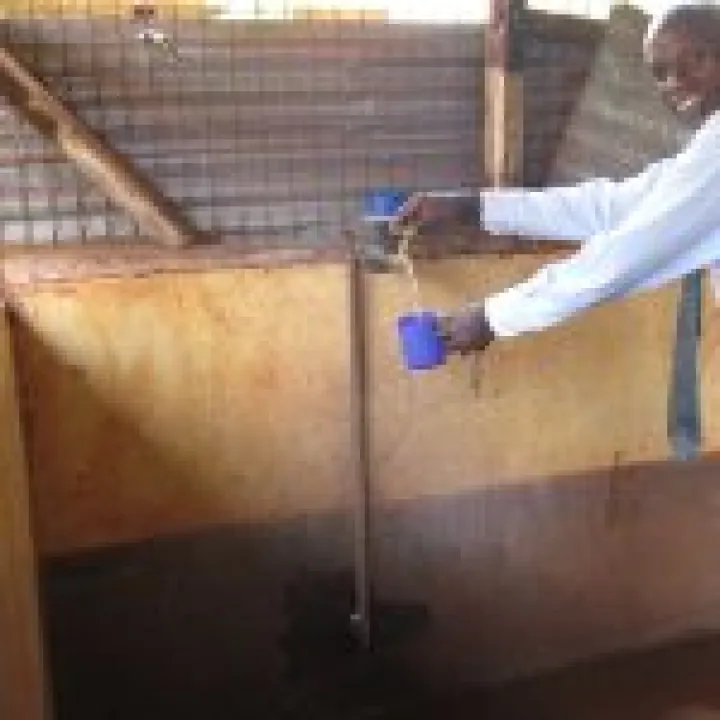 Kenya Mick 428