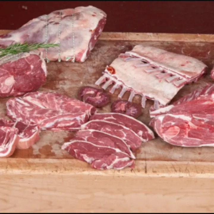 Lamb
