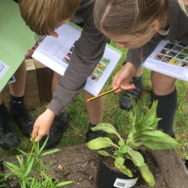 IMG 6137